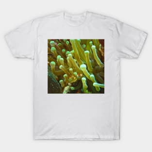 Giant Yellow Sea Anemone T-Shirt